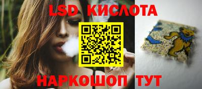 прущие крисы Новодвинск