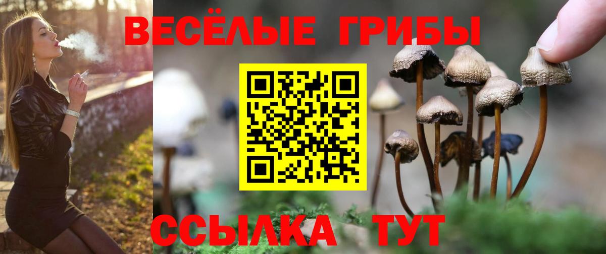 Гашиш  Вход с VPN  Канабис  COCAIN  Старая Купавна  NBOMe  ГАШИШ  Мефедрон  