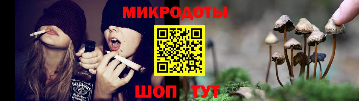Старая Купавна  купить наркотик  Псилоцибиновые грибы GOLDEN TEACHER  Вход с VPN  Галлюциногенные грибы мухоморы 